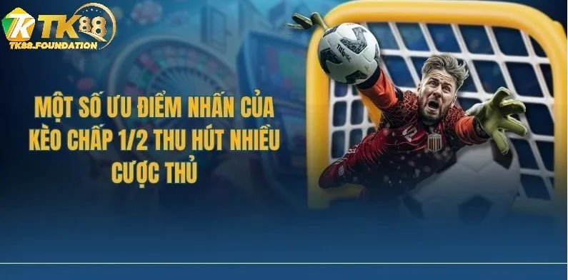 Chiến Lược Đặt Kèo 1/2 Hiệu Quả