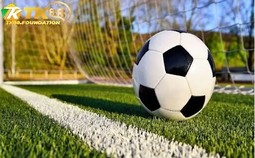 Giảm rủi ro với cơ chế hòa hoàn tiền